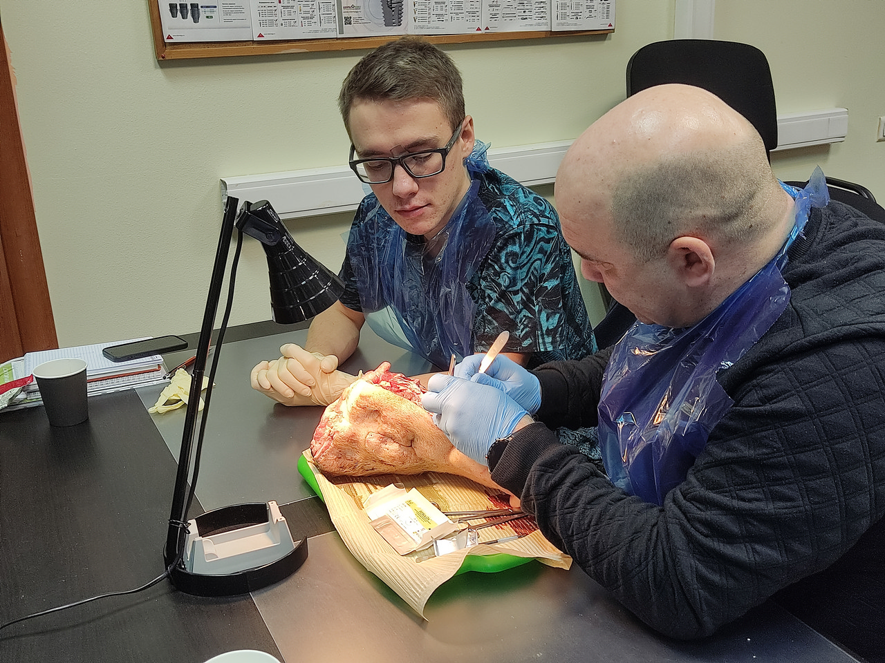 Пластика мягких тканей вокруг имплантатов. Морфологический подход