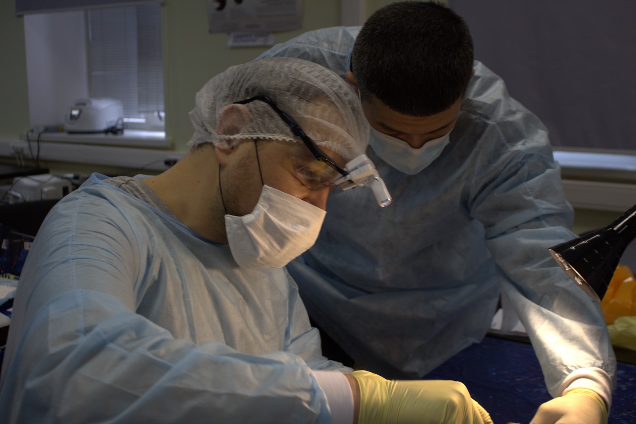 Пост-релиз. Кадавер-курс 1 марта