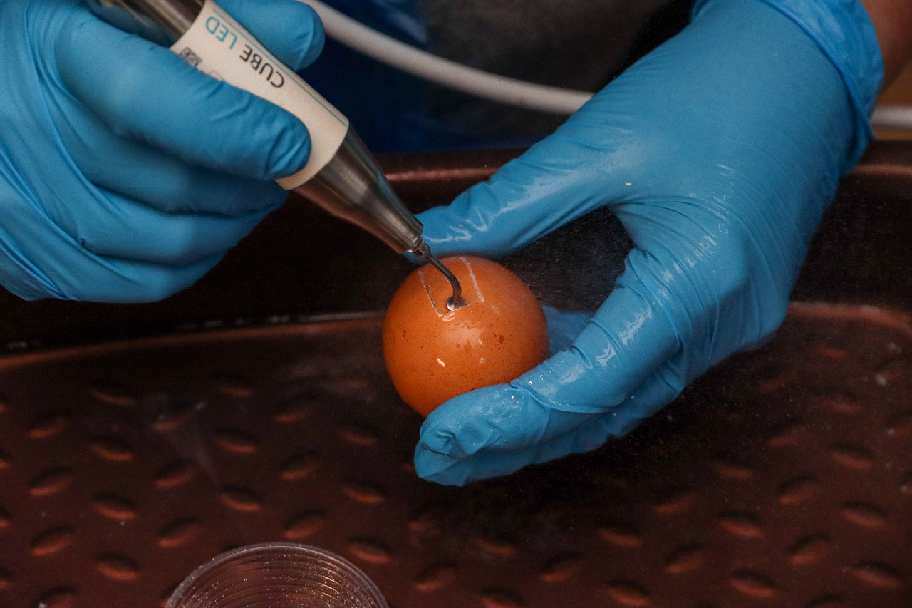 Продвинутый курс по имплантации: костная пластика и синус-лифтинг 13-14 сентября