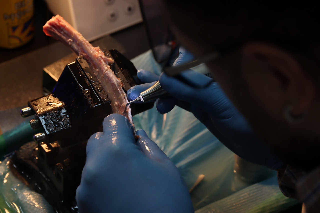 Продвинутый курс по имплантации 10-11 февраля