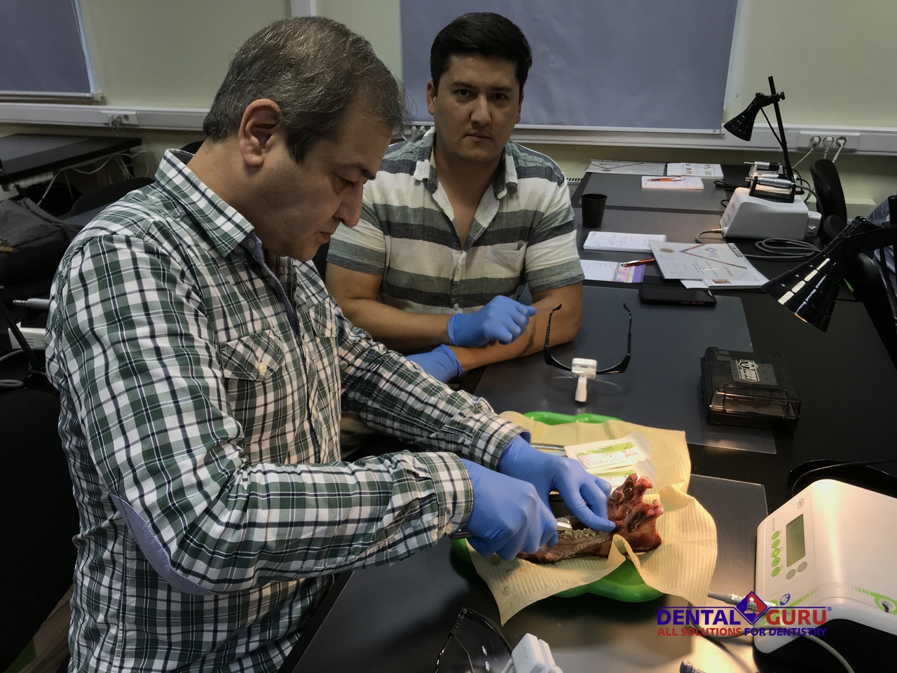 Курс Виталия Панцулая: одномоментная имплантация и немедленная нагрузка