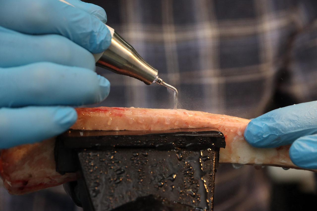 Продвинутый курс по имплантации 10-11 февраля