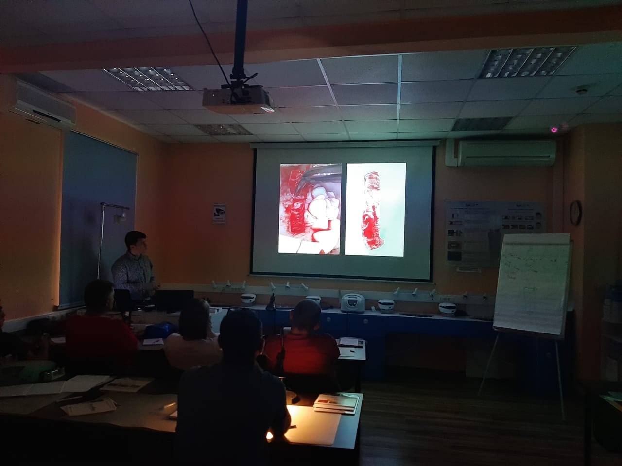 16-17 сентября 2020. Панцулая В.Г. Пластика мягких тканей вокруг имплантатов. Морфологический подход