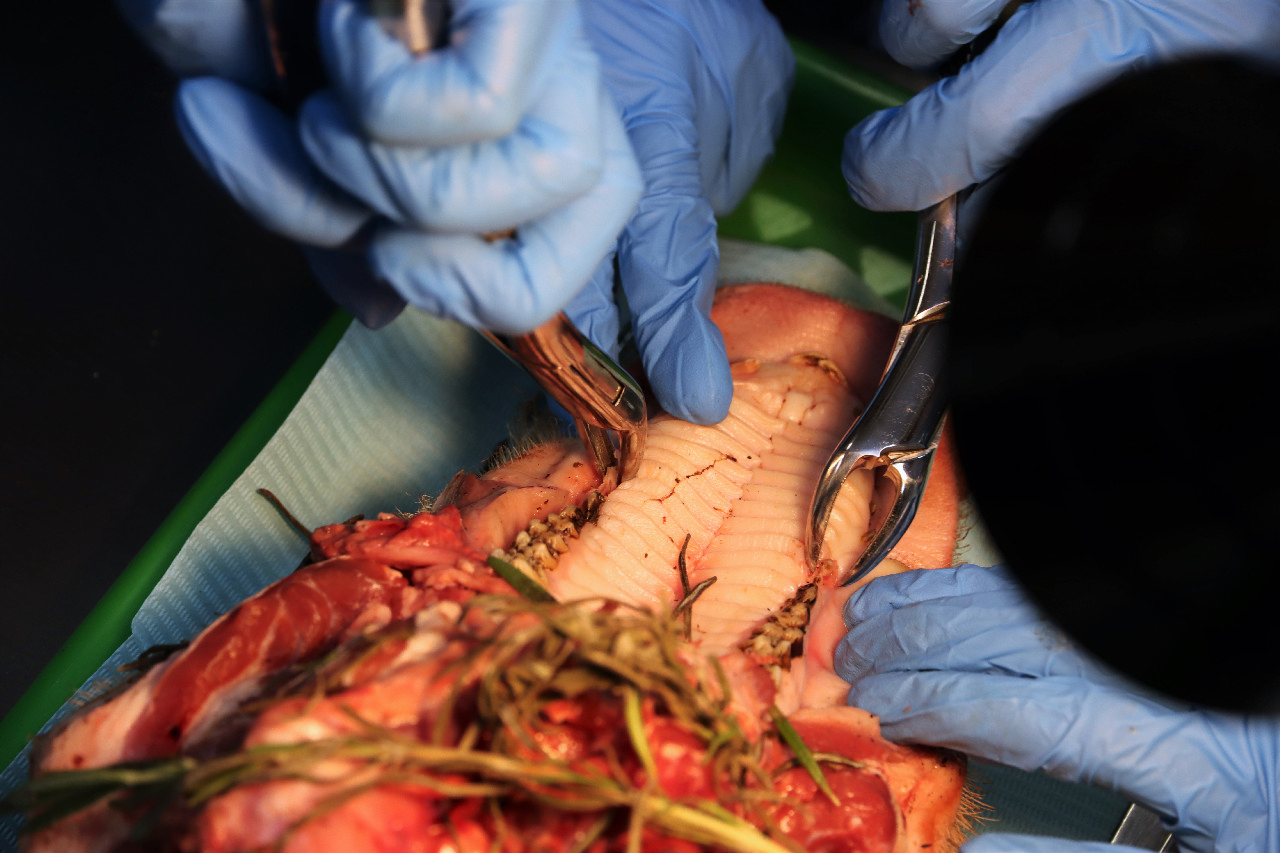 Атравматичное удаление зубов и методики наложения швов