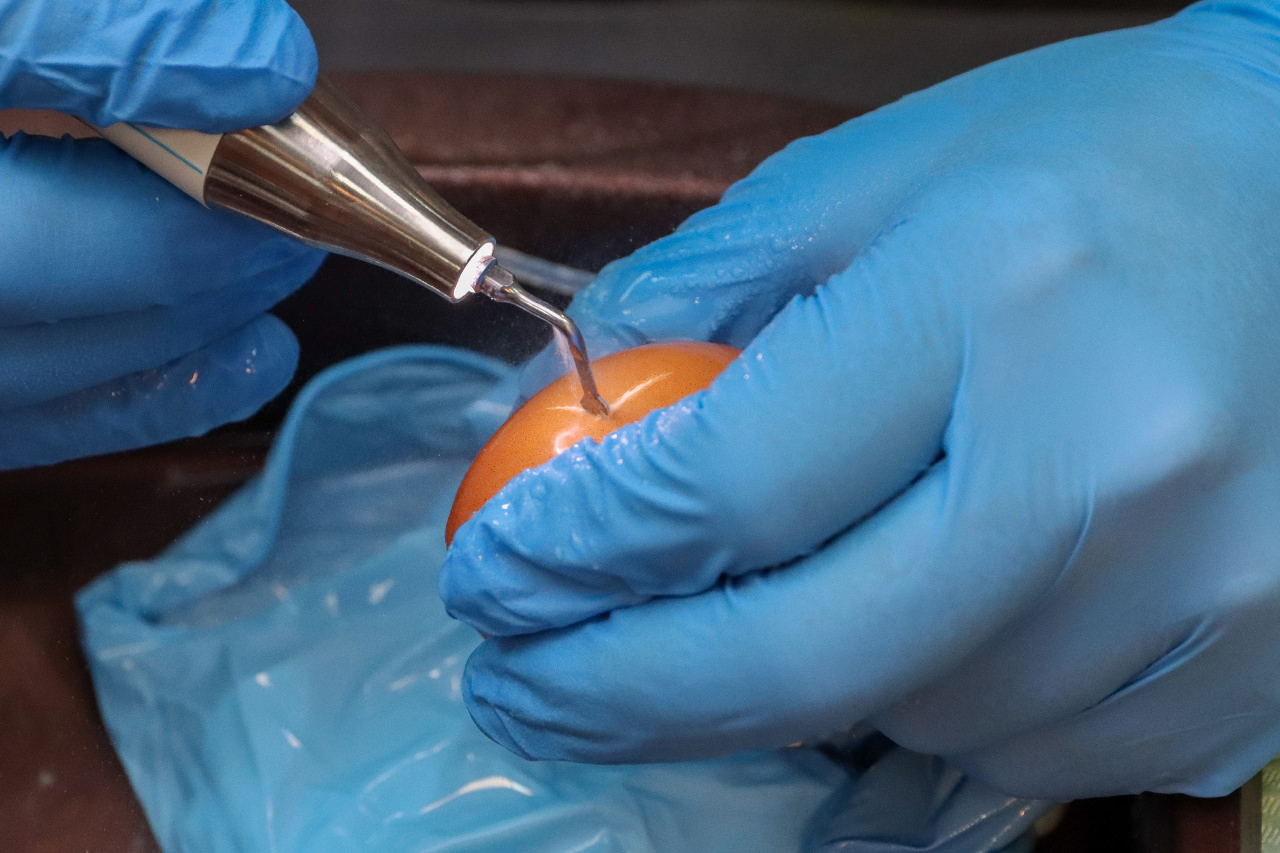 Продвинутый курс по имплантации. Костная пластика и синус-лифтинг