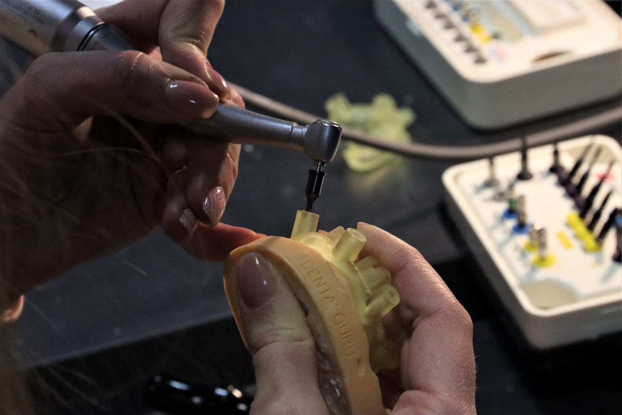 Продвинутый курс R2Gate+ExoCAD. Практика на беззубой челюсти