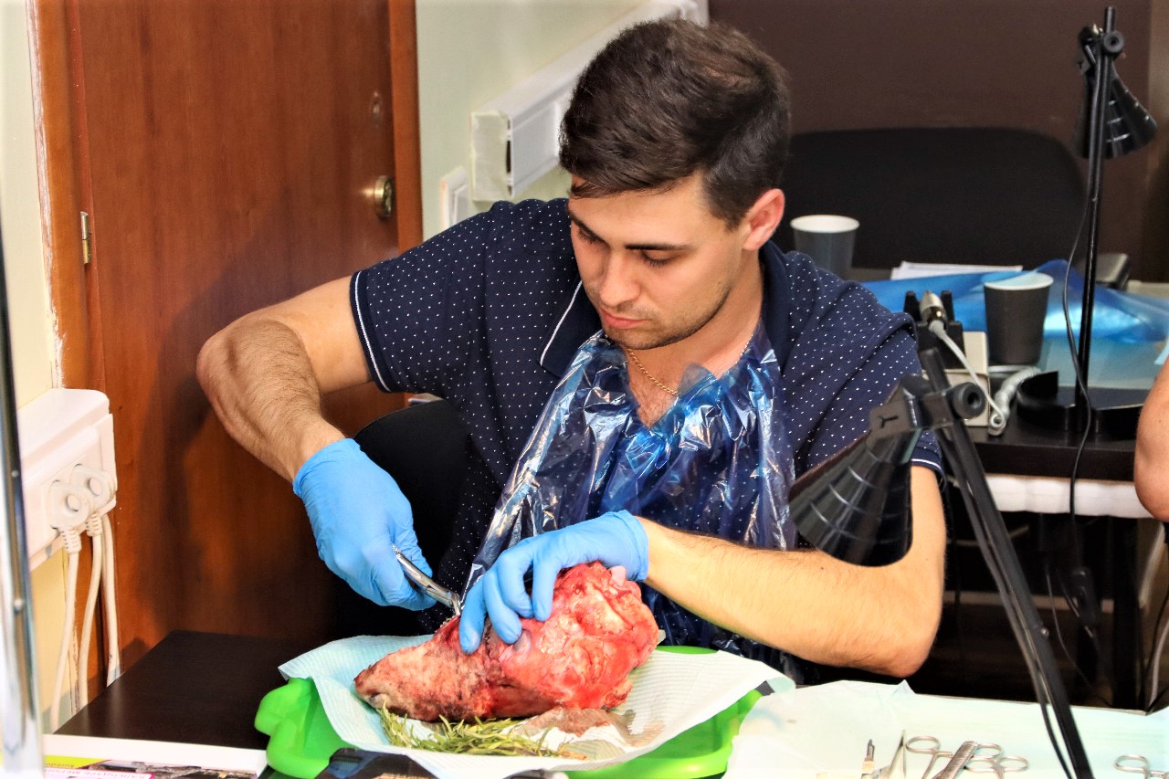 Одномоментная имплантация и немедленная нагрузка