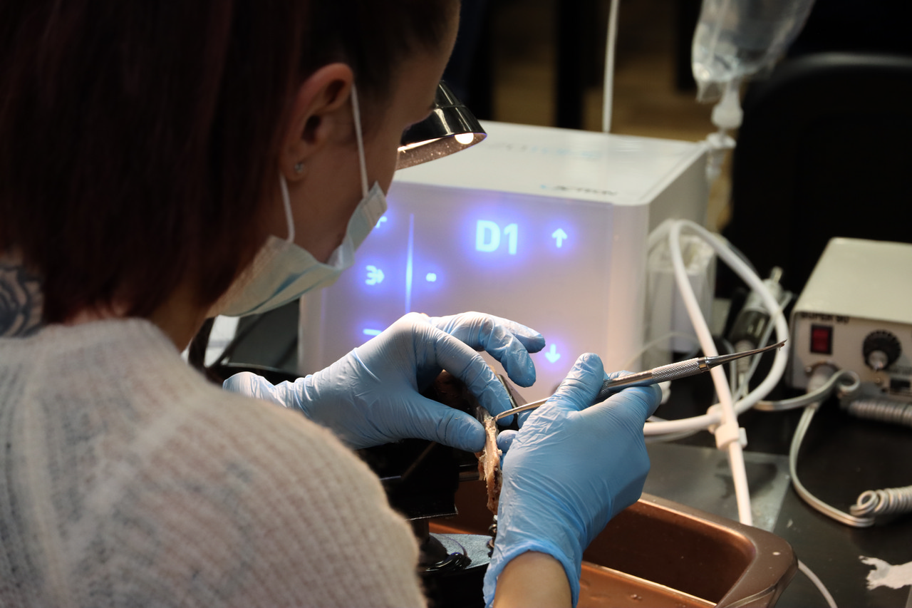 Продвинутый курс по имплантации, 28-29 октября 