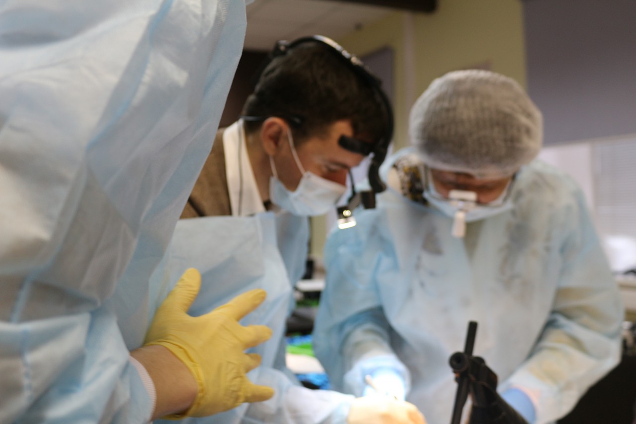 Пост-релиз. Кадавер-курс 1 марта