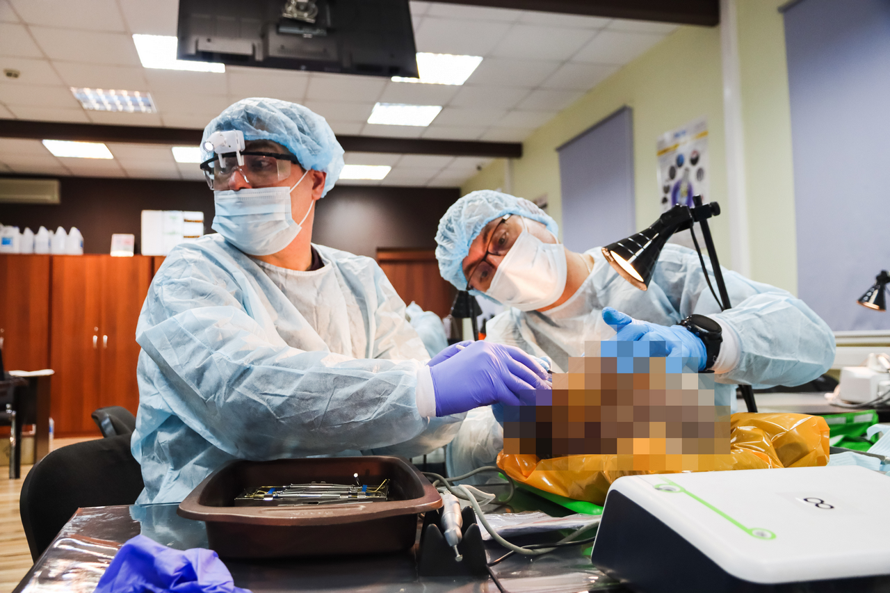 Кадавер-курс Виталия Георгиевича Панцулая 5 марта