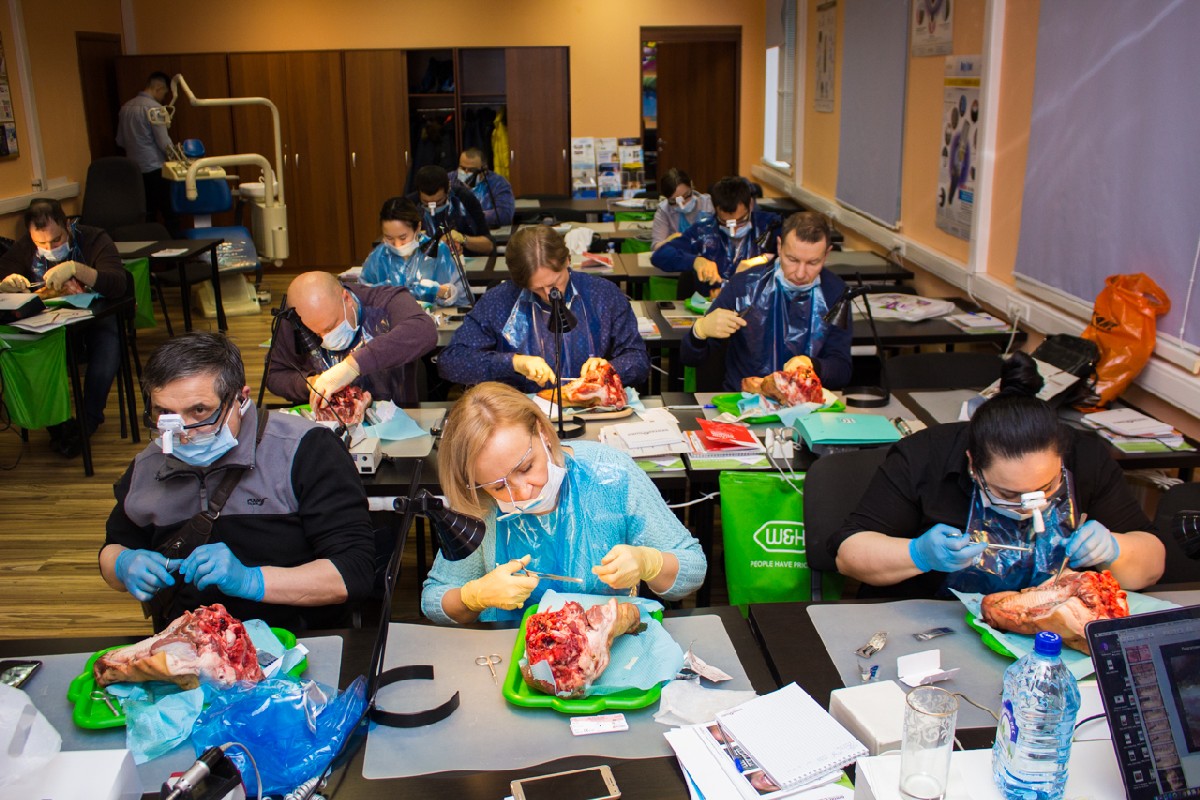 20-21 февраля 2020. Панцулая В.Г. Пластика мягких тканей вокруг имплантатов. Морфологический подход