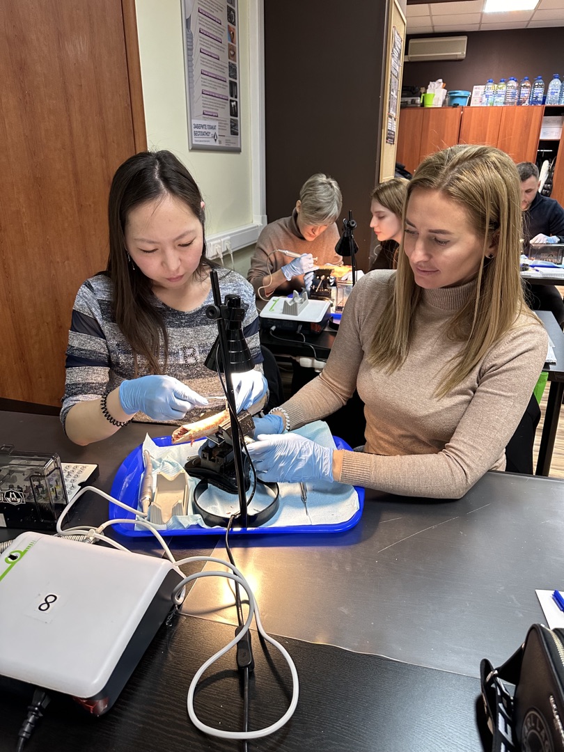 Базовый курс по имплантации