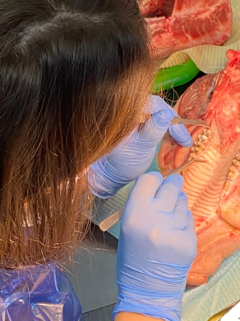 Хирургический курс по пародонтологии. Пост-релиз 20-21 марта 2021