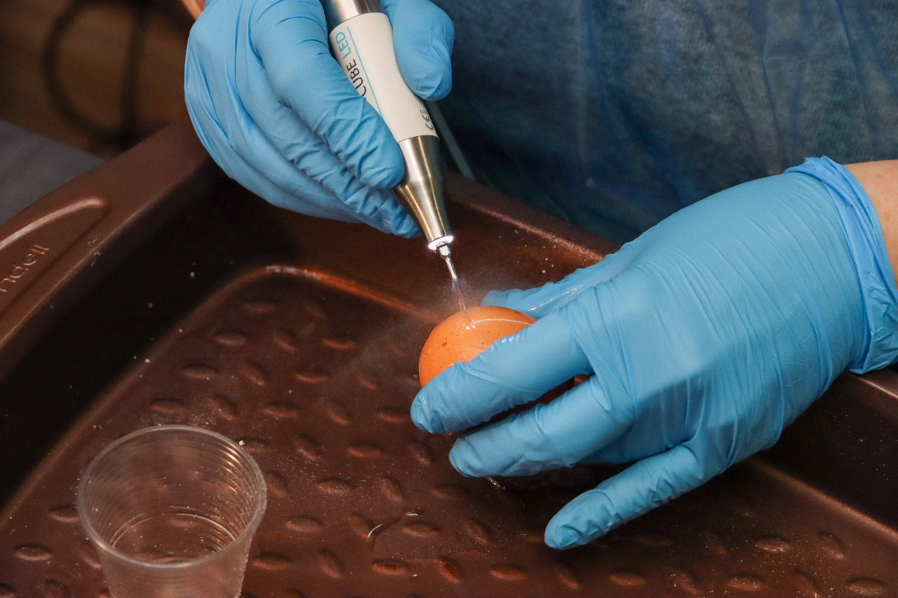 Продвинутый курс по имплантации: костная пластика и синус-лифтинг 13-14 сентября