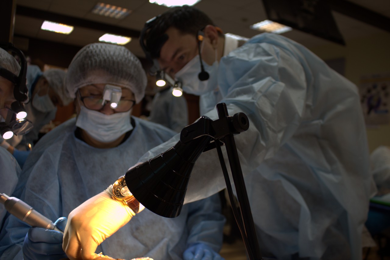 Пост-релиз. Кадавер-курс 1 марта