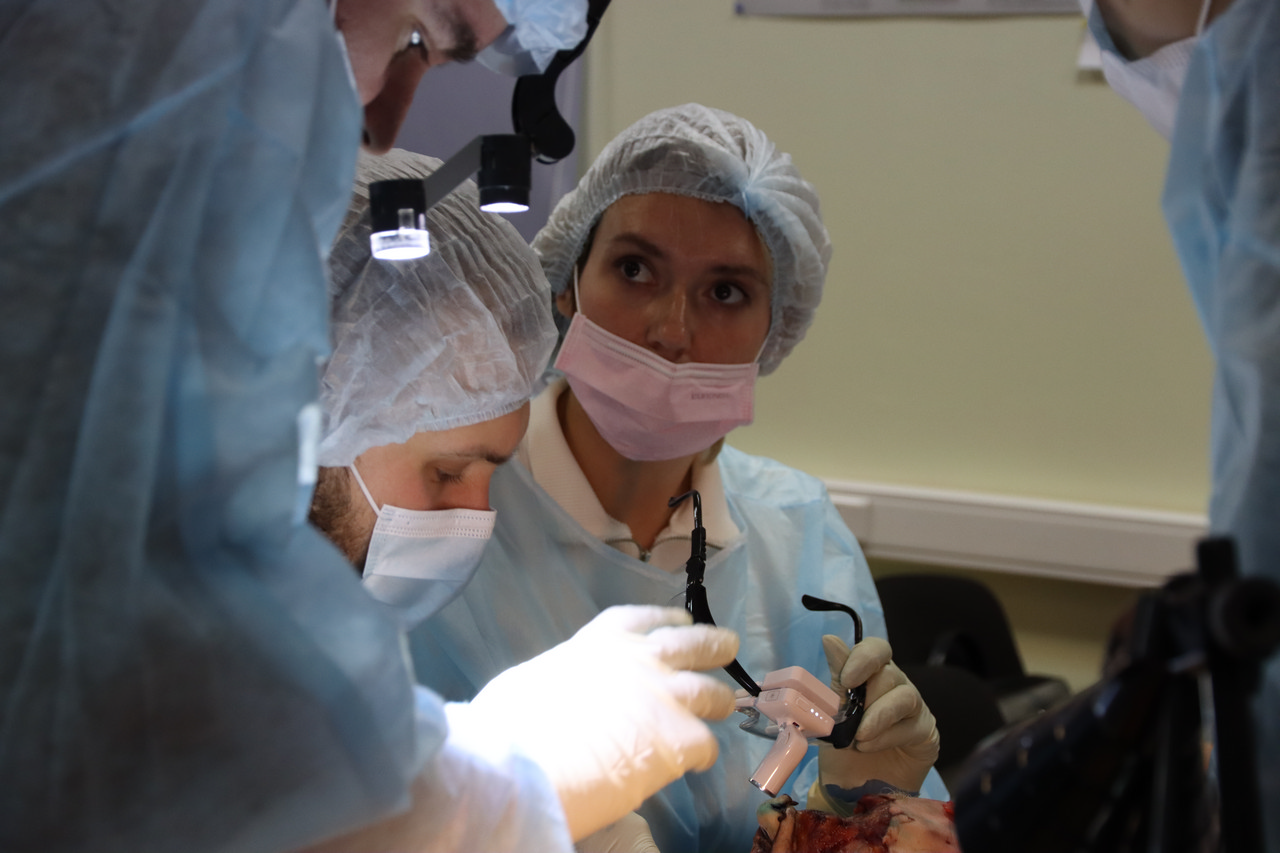 Кадавер-курс Виталия Георгиевича Панцулая 14 ноября