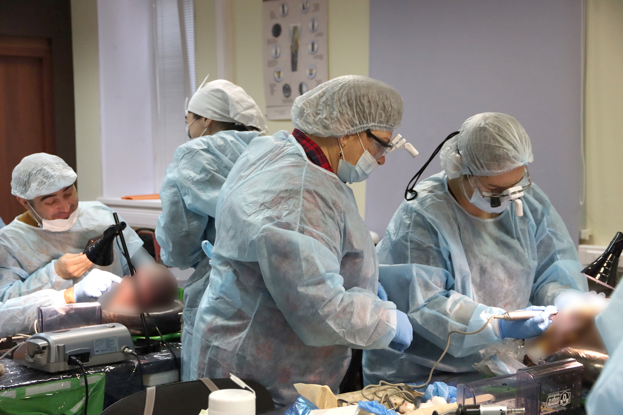 Кадавер-курс Виталия Георгиевича Панцулая 14 ноября