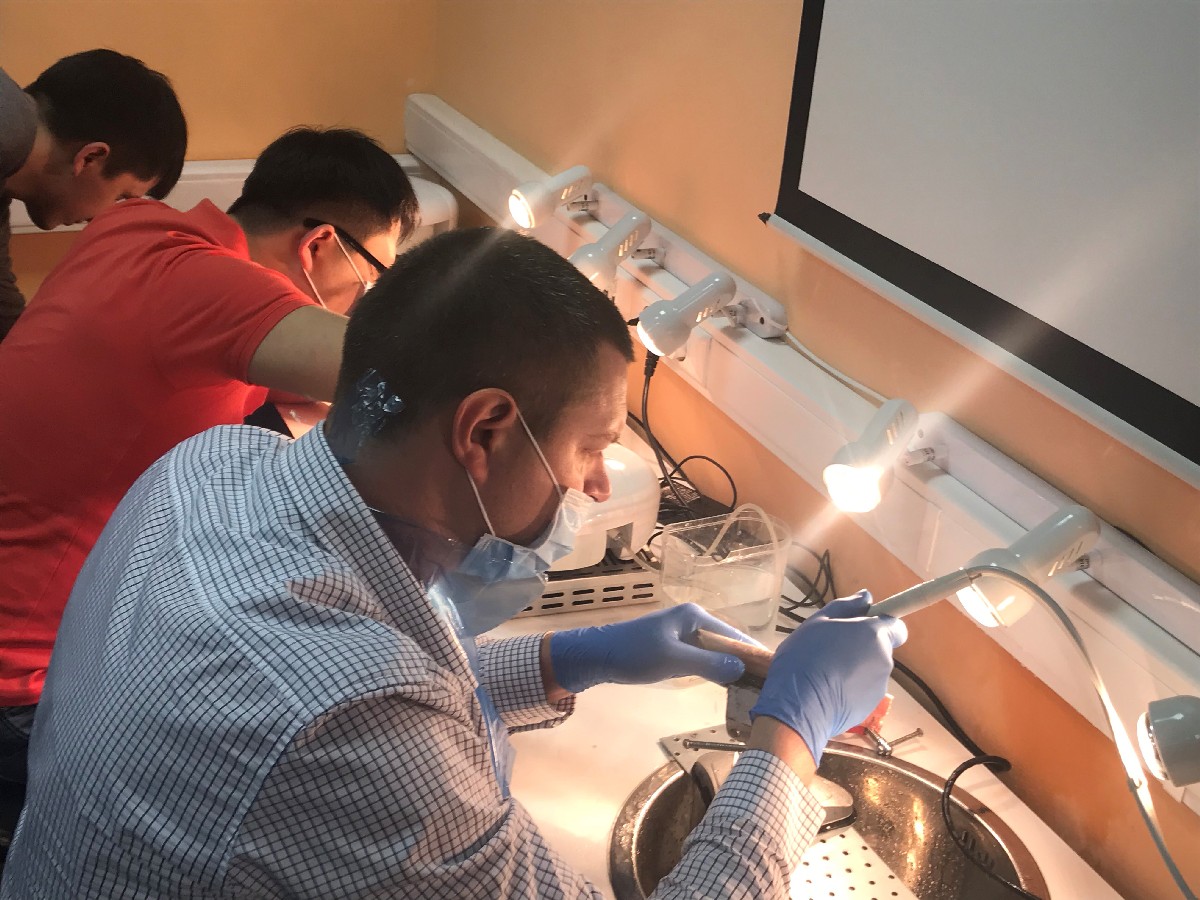 Продвинутый курс по имплантации. Костная пластика. 5-6 марта.