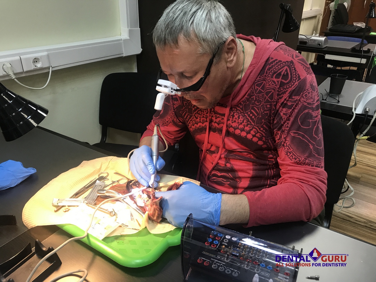 Курс Виталия Панцулая: одномоментная имплантация и немедленная нагрузка