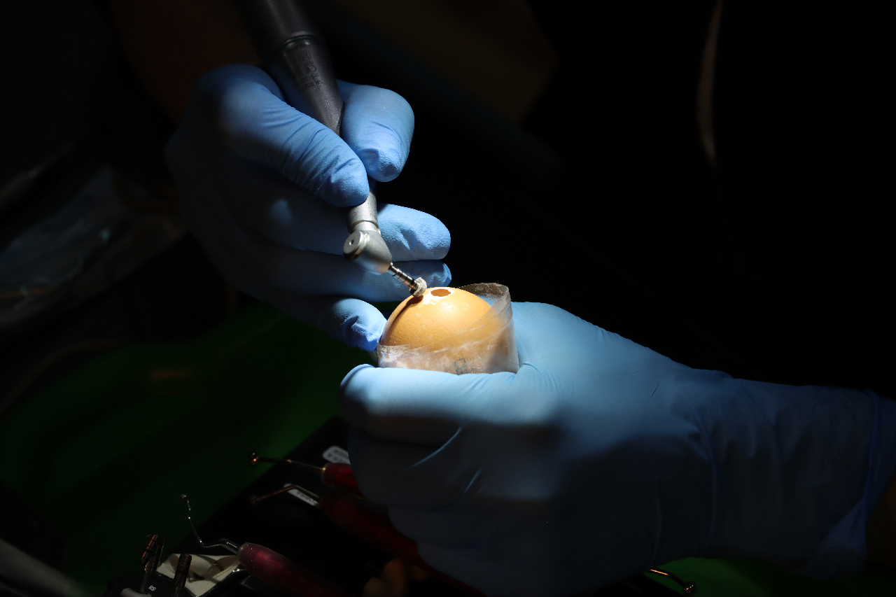 Продвинутый курс по имплантации: костная пластика и синус-лифтинг