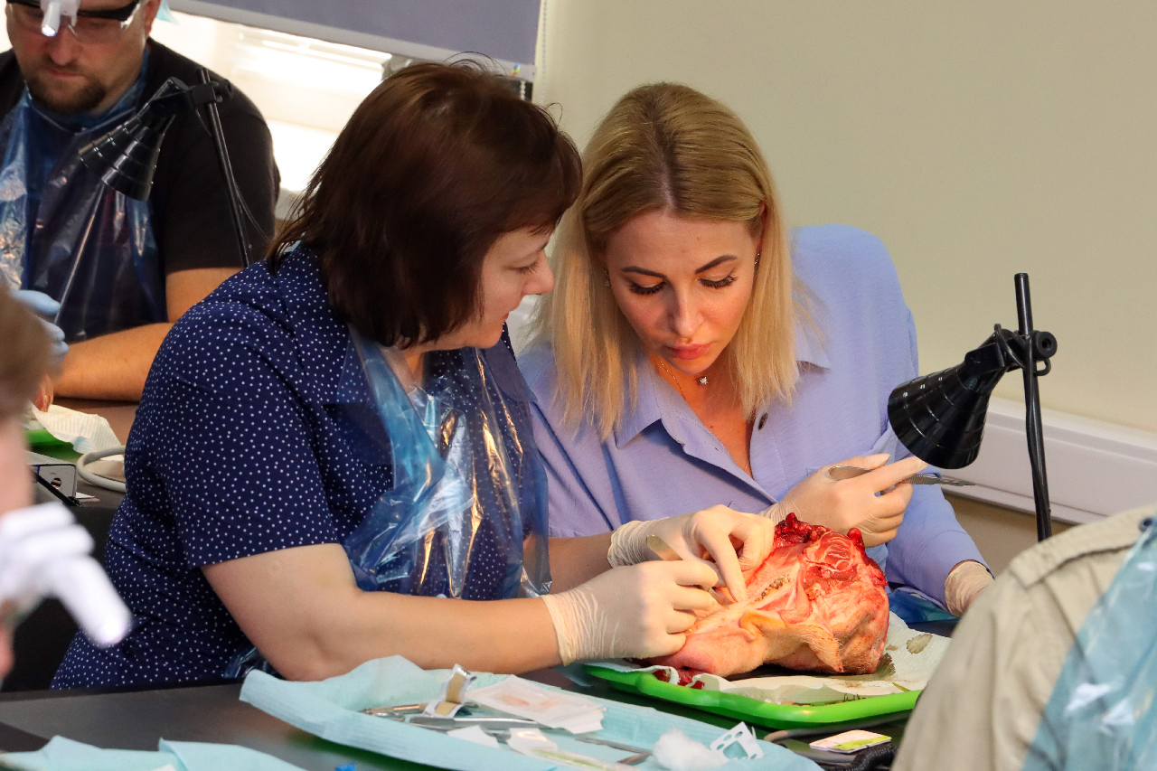 Пластика мягких тканей вокруг имплантатов. Морфологический подход