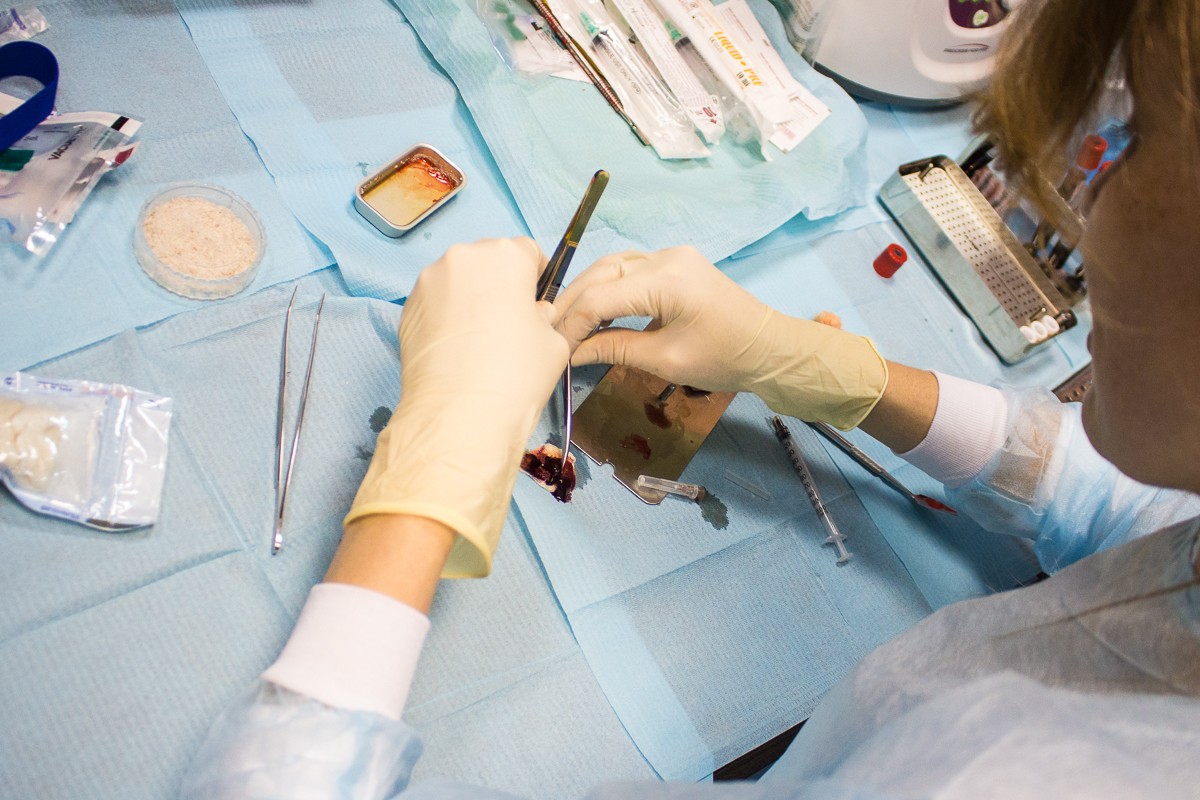 Применение факторов роста (IPRF, APRF) в стоматологии. 20 сентября 2019. Сечко Нина Андреевна