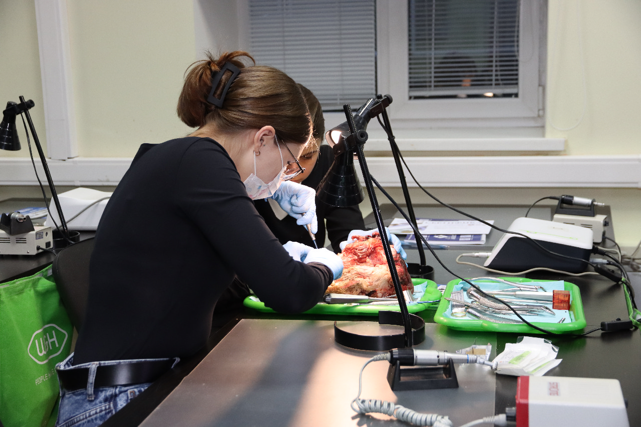 Атравматичное удаление зубов и методики наложения швов