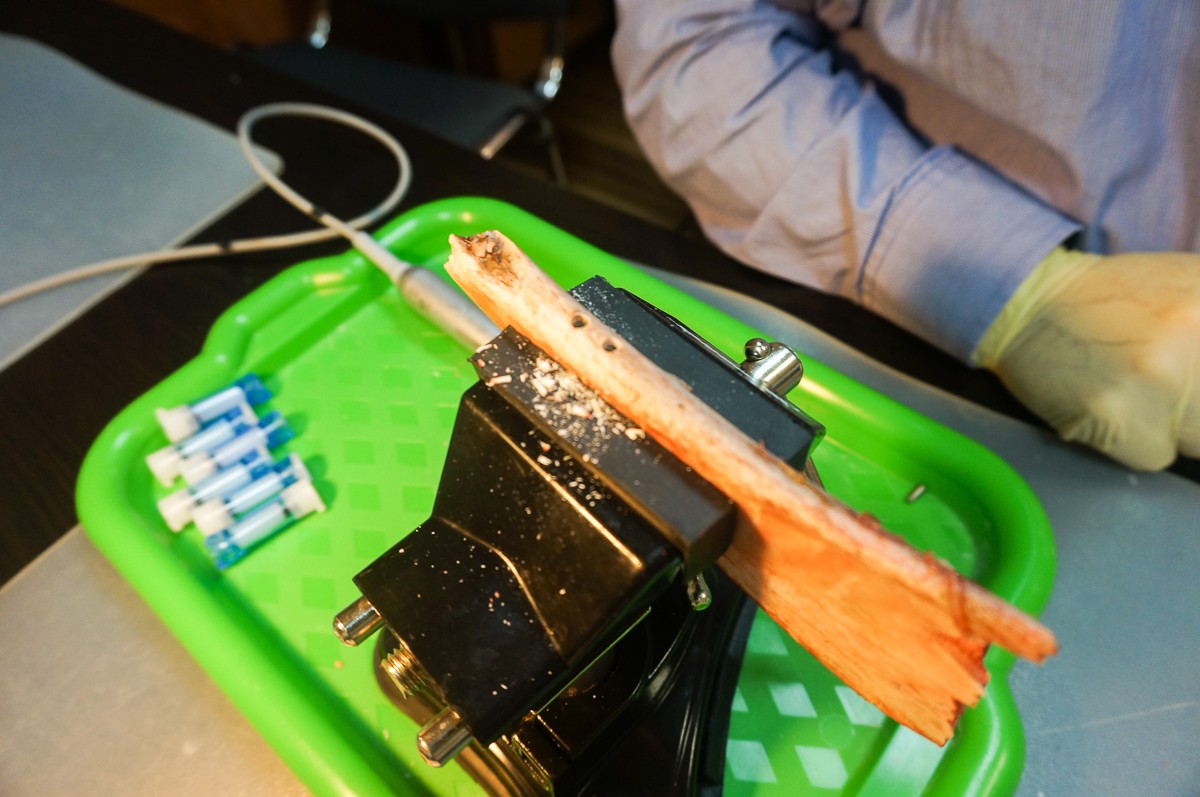 Базовый курс по имплантации, 14-15 сентября 2019г.