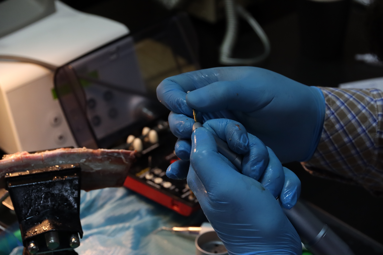 Продвинутый курс по имплантации 10-11 февраля