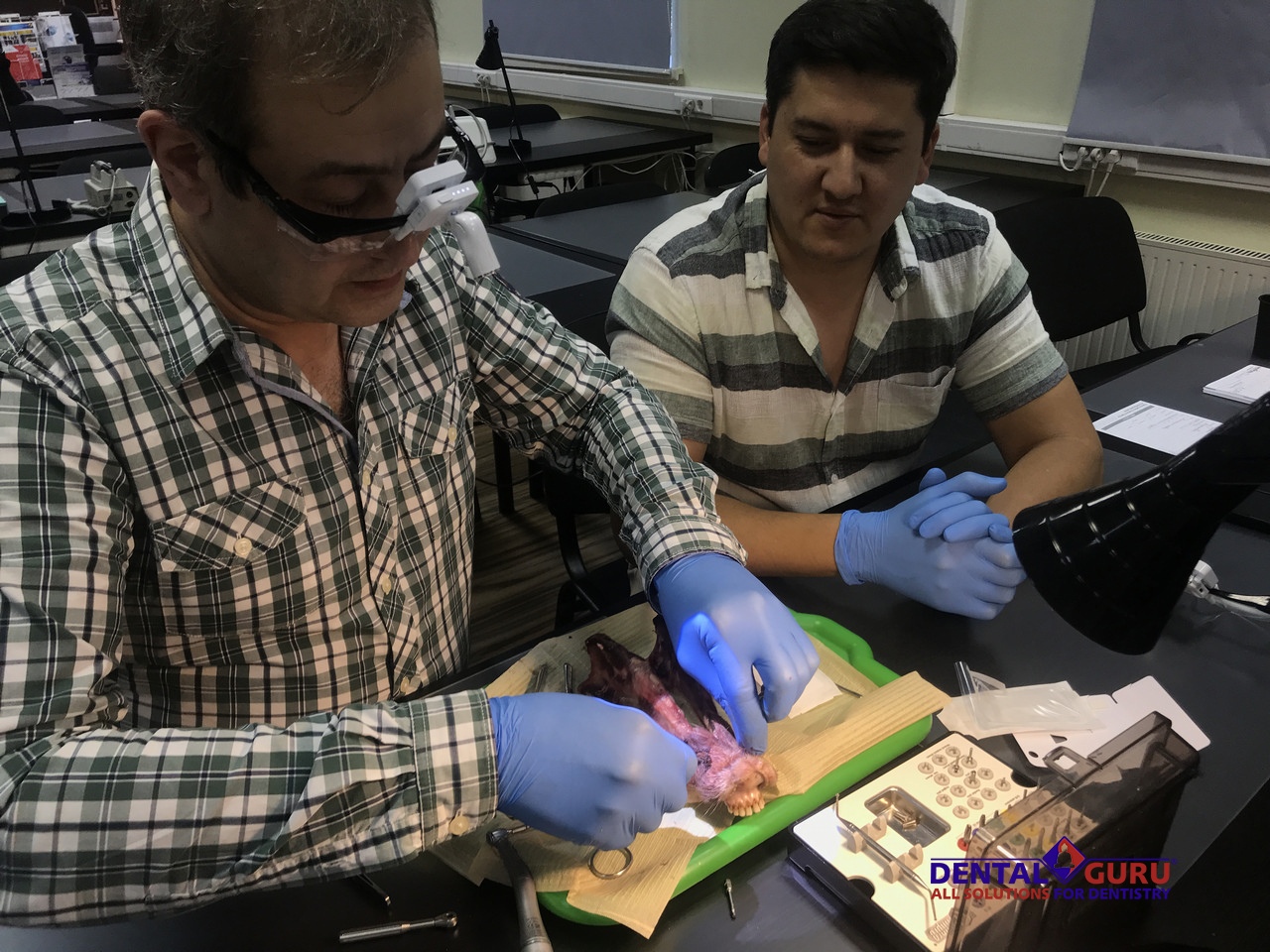 Курс Виталия Панцулая: одномоментная имплантация и немедленная нагрузка