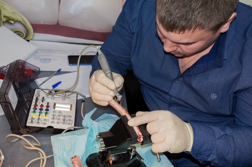 Базовый курс по имплантации