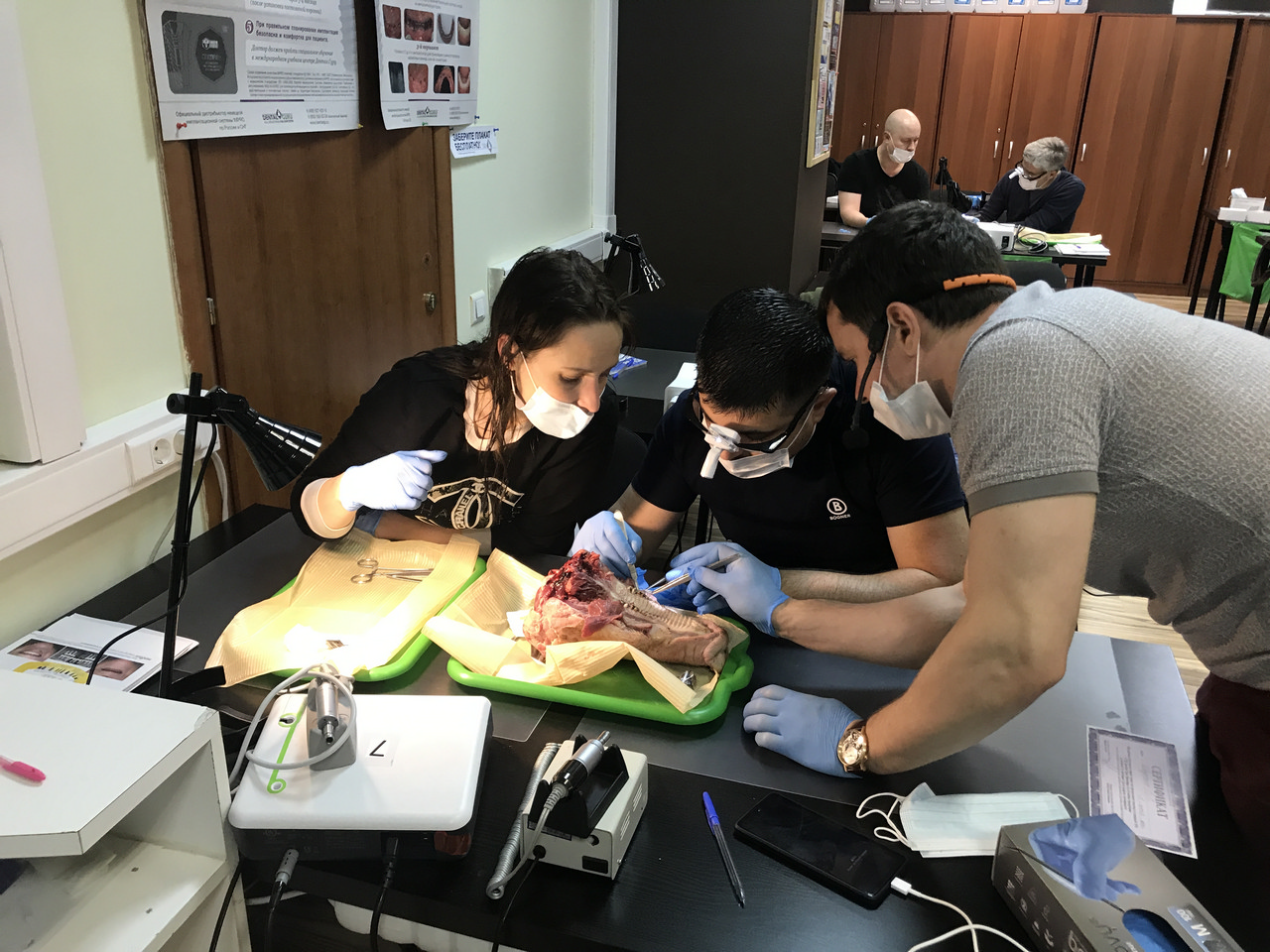 Пластика мягких тканей вокруг имплантатов. Морфологический подход. Пост-релиз 9-10 июня