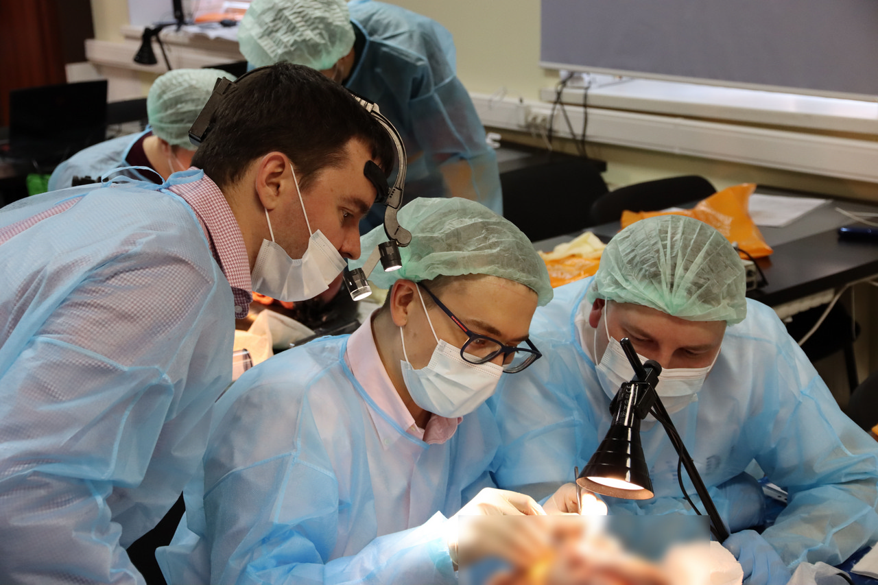 Кадавер-курс Виталия Георгиевича Панцулая 11 апреля