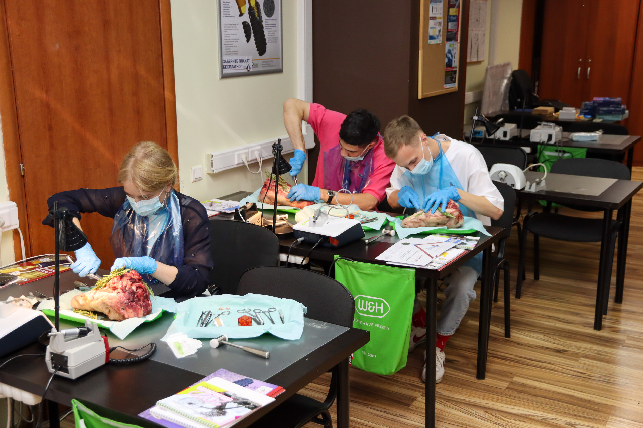 Атравматичное удаление зубов и методики наложения швов