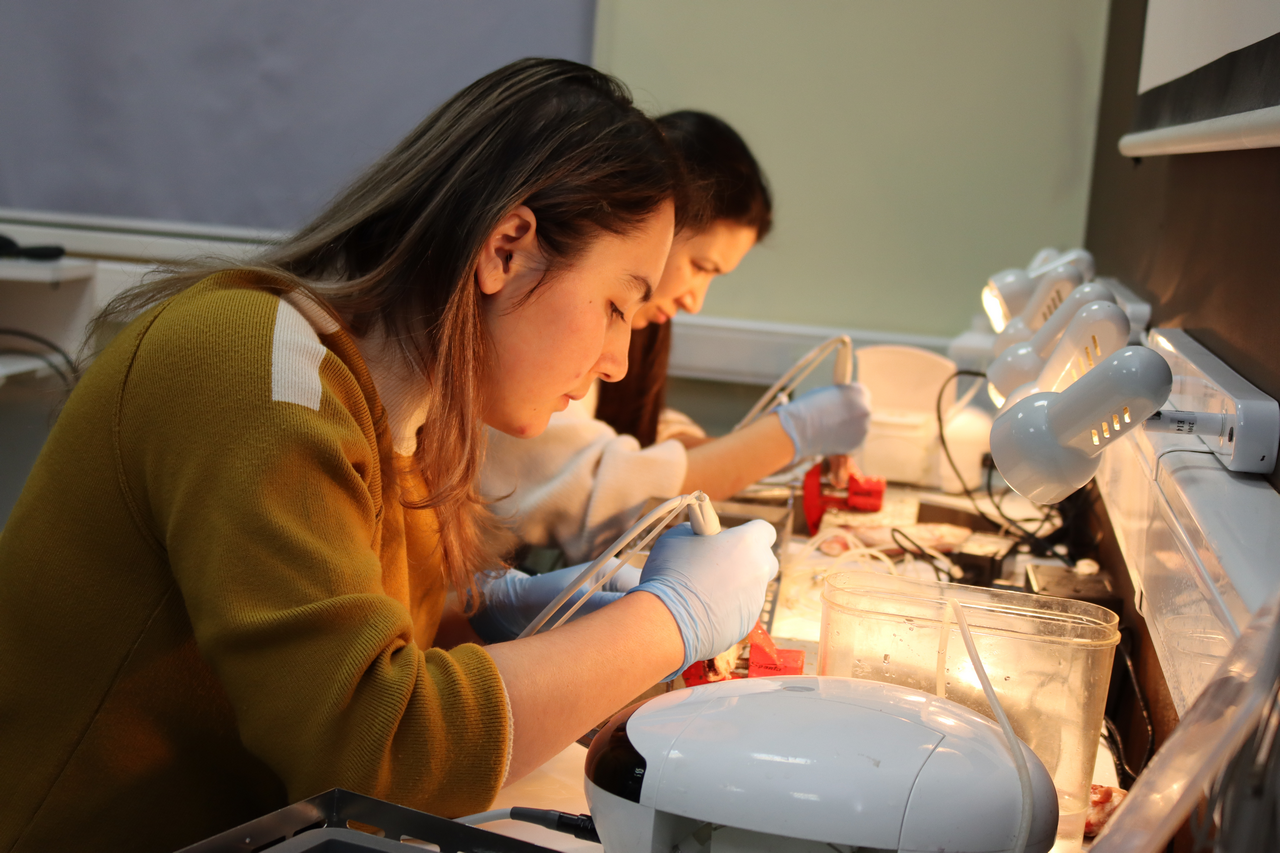 Продвинутый курс по имплантации. Костная пластика