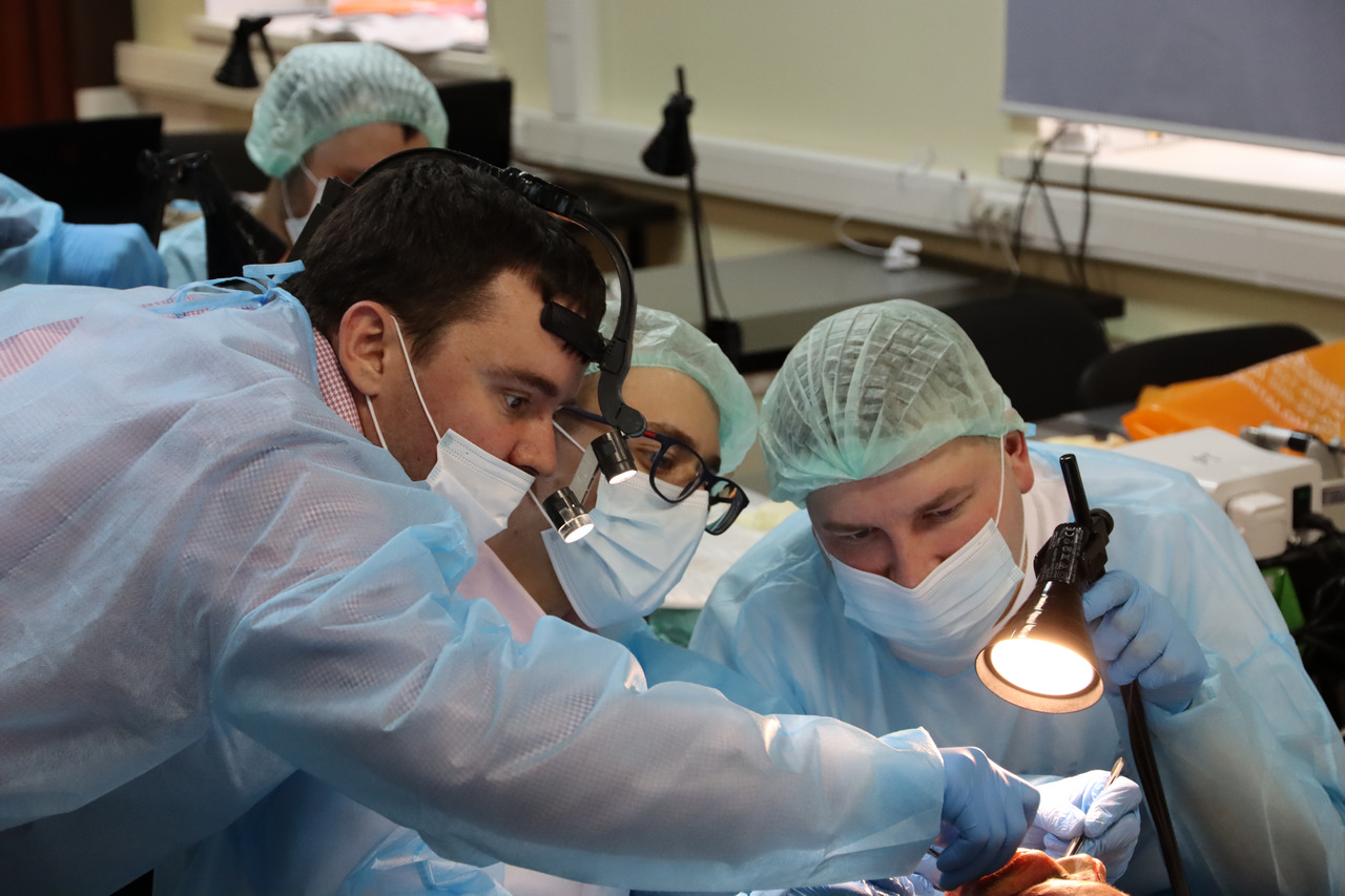 Кадавер-курс Виталия Георгиевича Панцулая 11 апреля