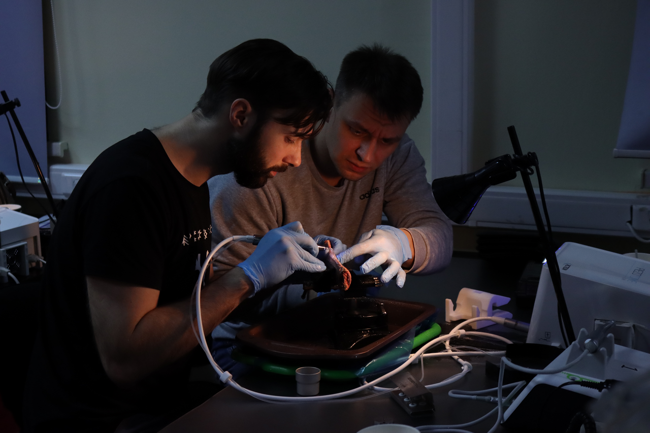 Продвинутый курс по имплантации. Костная пластика