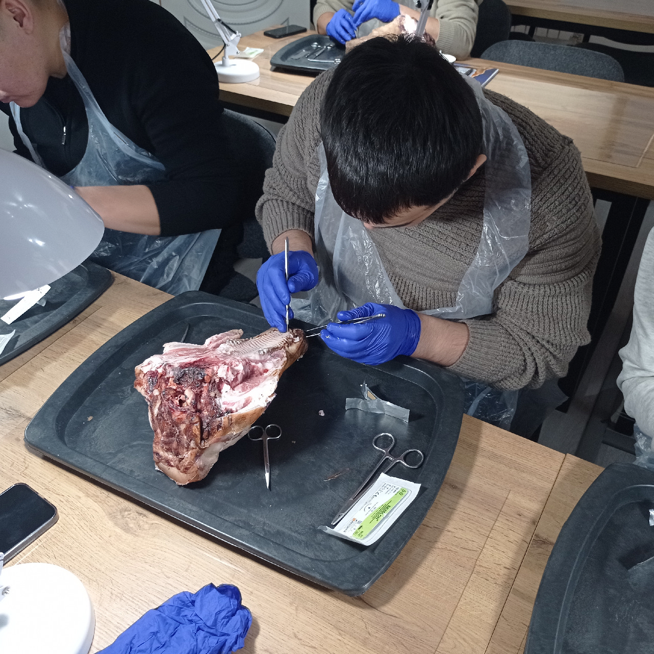 Курс Камиля Хабиева в Астане: Пластика мягких тканей вокруг имплантатов