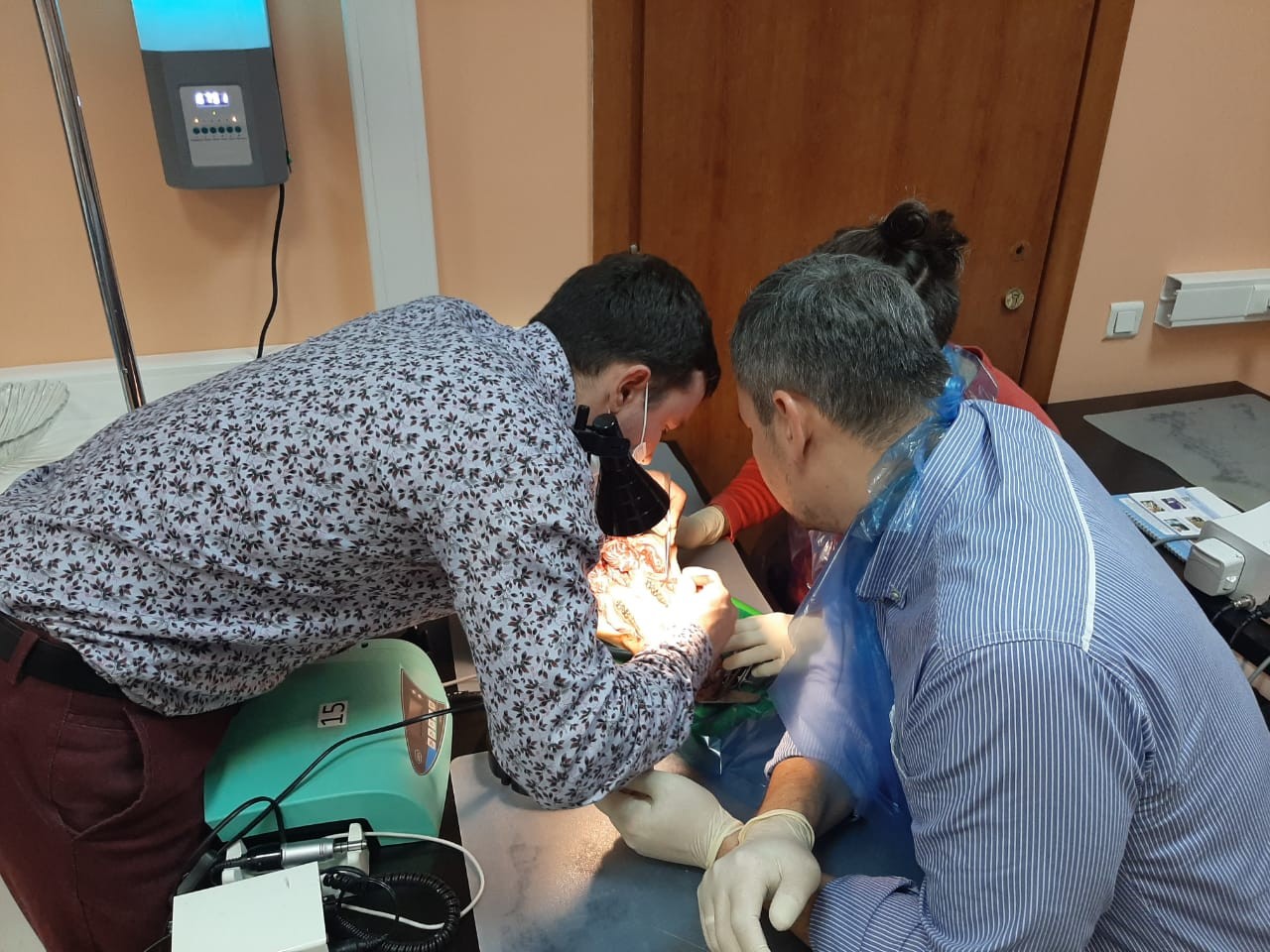 16-17 сентября 2020. Панцулая В.Г. Пластика мягких тканей вокруг имплантатов. Морфологический подход