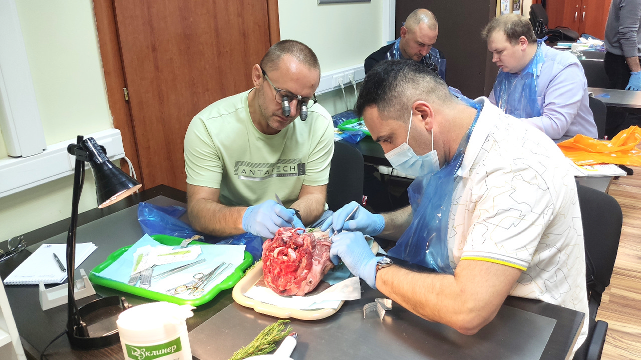 Пластика мягких тканей вокруг имплантатов. Морфологический подход