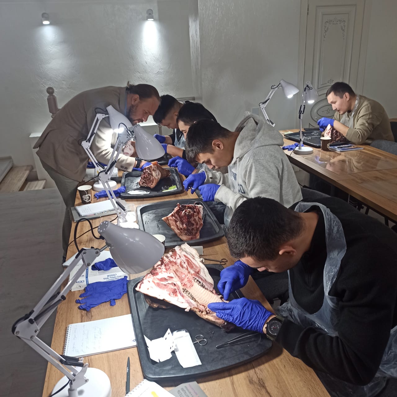 Курс Камиля Хабиева в Астане: Пластика мягких тканей вокруг имплантатов