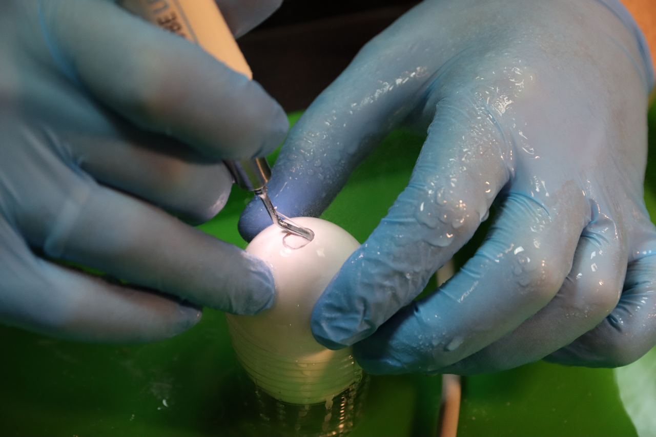 Продвинутый курс по имплантации. Костная пластика