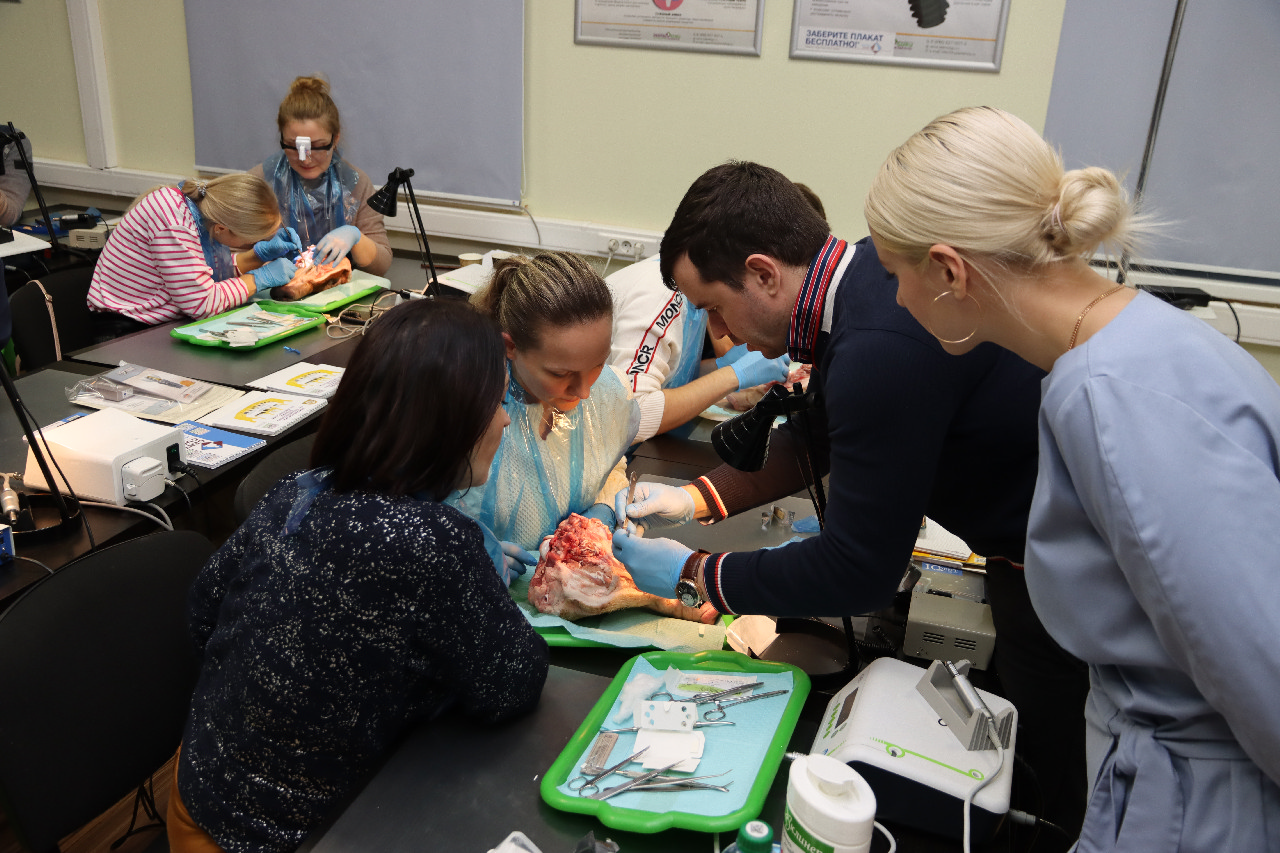 Пластика мягких тканей вокруг имплантатов. Морфологический подход