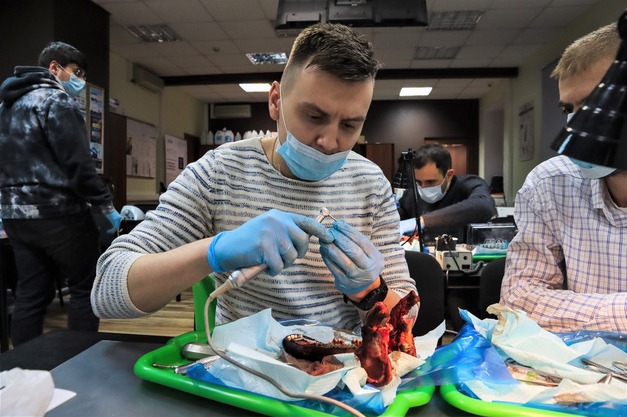 Виталий Панцулая: одномоментная имплантация и немедленная нагрузка