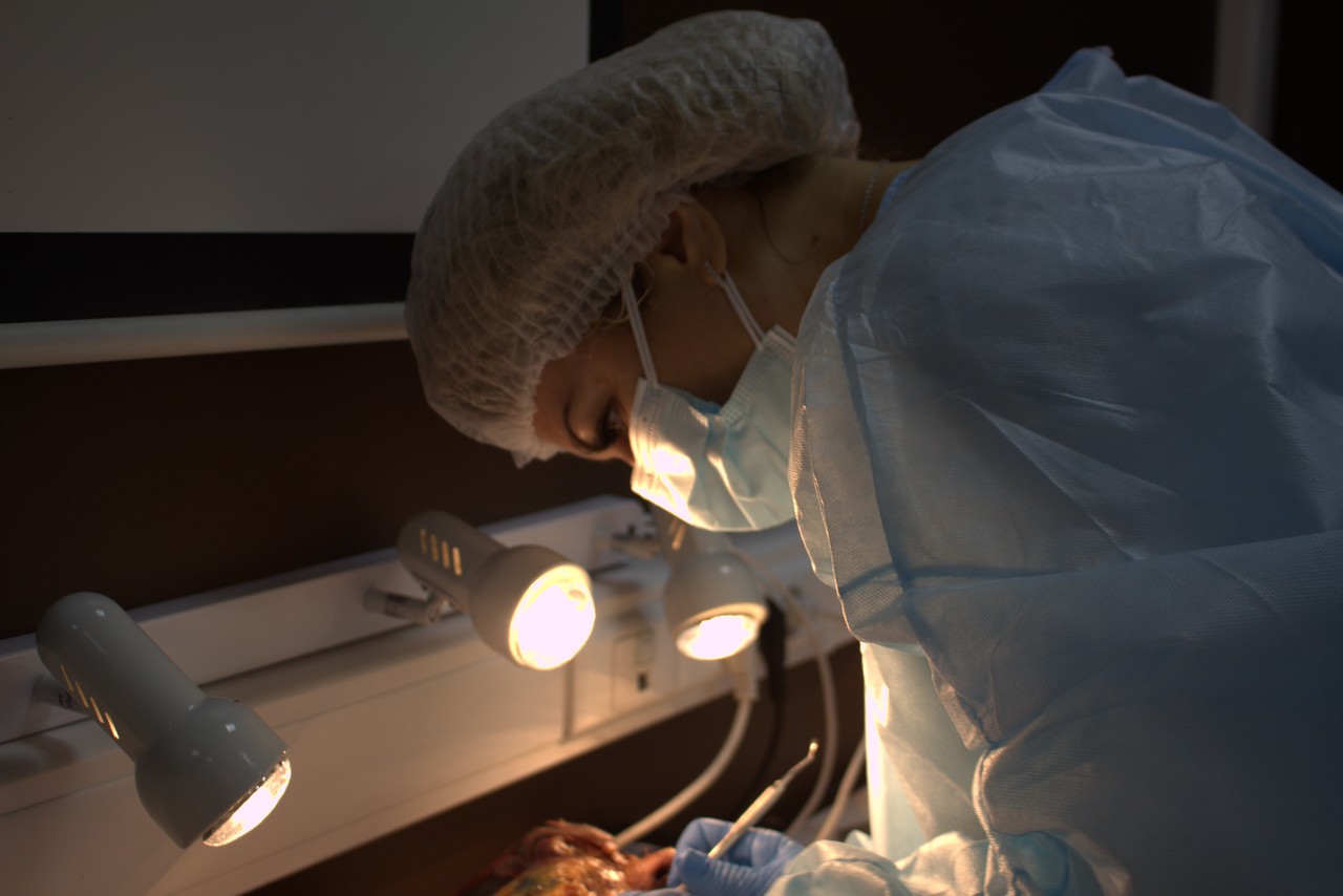 Пост-релиз. Кадавер-курс 1 марта