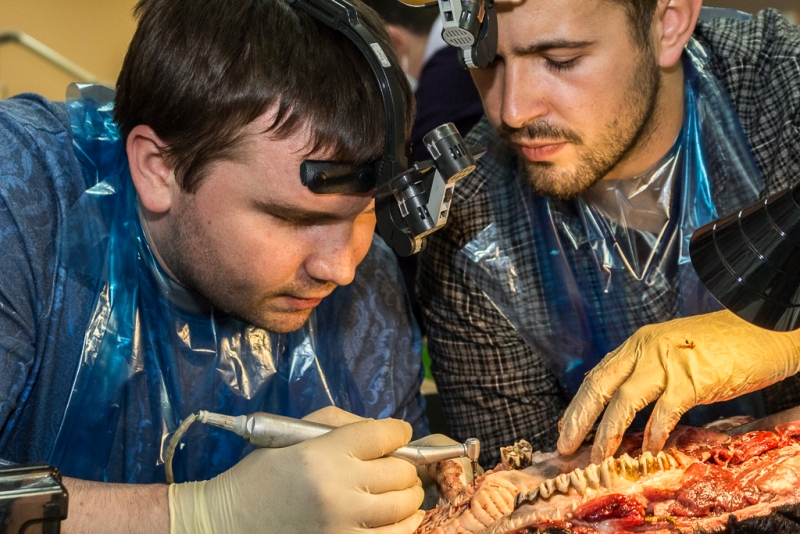 Одномоментная имплантация и немедленная нагрузка