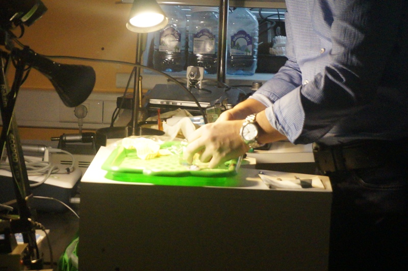 Продвинутый курс по ортопедии