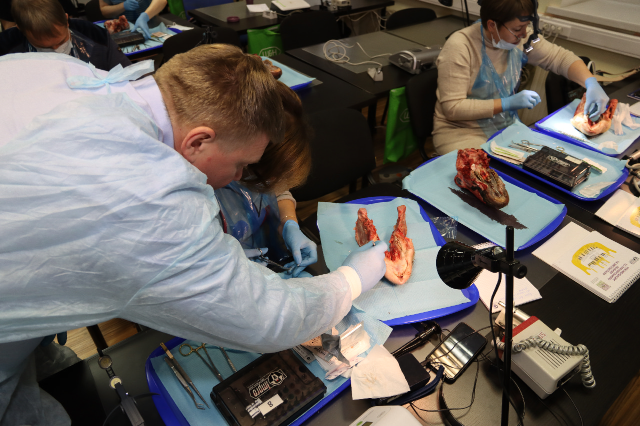 Продвинутый курс по пластике мягких тканей