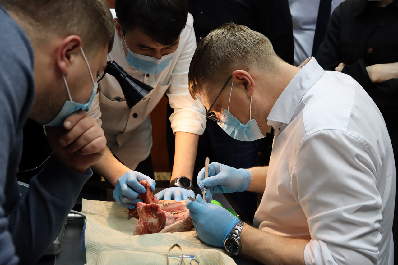 Дентальная имплантация с одновременной пластикой мягких тканей в сложных клинических случаях