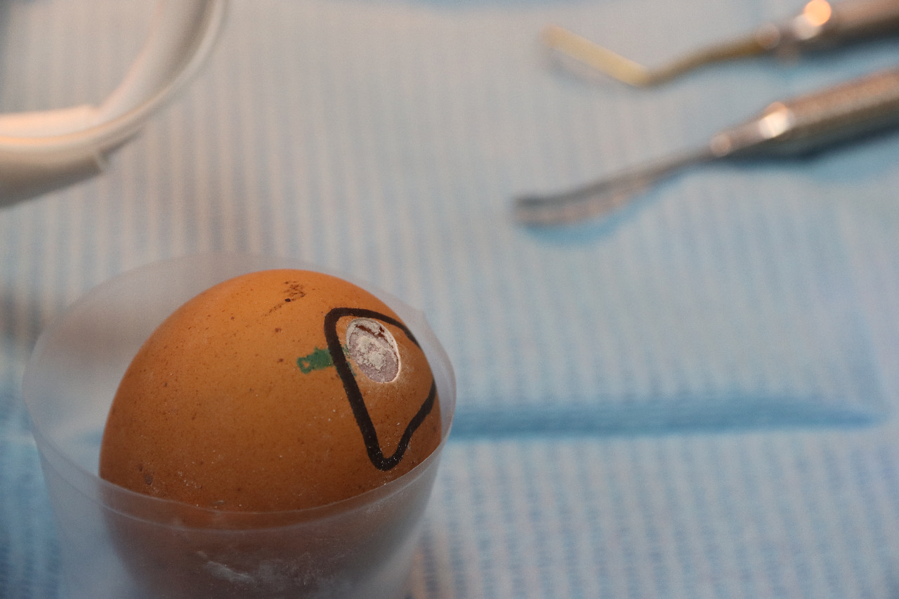 Продвинутый курс по имплантации